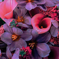 Fragrance notes