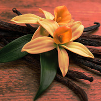 Fragrance notes
